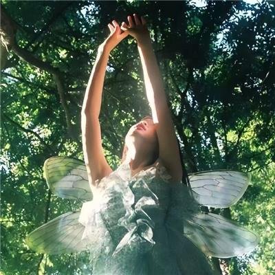 郊区的鸟