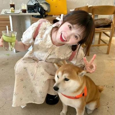 模犯生